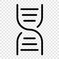 genetics, gene, chromosomes, DNA sequencing icon svg