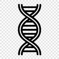 genetics, DNA sequencing, genetic testing, genetic counseling icon svg