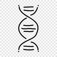 genetics, mutation, gene, chromosome icon svg