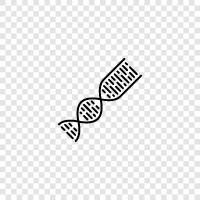 genetics, genome, genetic, DNA icon svg