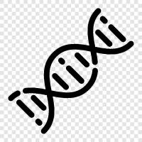 genetics, DNA sequencing, genetic code, hereditary icon svg