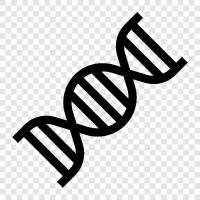 Genetics, DNA sequencing, DNA methylation, DNA repair icon svg