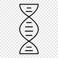 genetics, inheritance, cells, genetic code icon svg