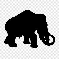 dev, boyut, elephant, prehistoric ikon svg