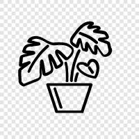 giant, giant plant, plant, flowers icon svg