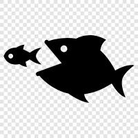 giant fish, deep sea fish, biggame fish, salt water fish icon svg