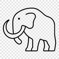 dev, elephant, tusk, fosil ikon svg