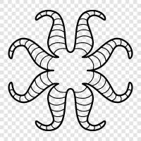 Riesenkrake, Kopffüßer, Tintenfisch, Octopus symbol