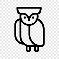 giant owl, white owl, barn owl, tawny owl icon svg