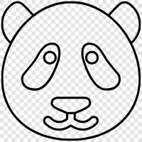 giant panda, black and white panda, bamboo, conservation icon svg