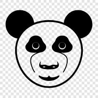 giant pandas, giant panda facts, giant panda pictures, giant icon svg