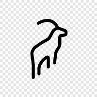 goats, alpine, mountain, wild icon svg