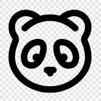 Google Panda, Panda update, Panda optimization, Panda update 2017 icon svg