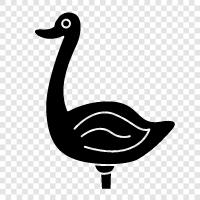goose, Canada goose, barn, waterfowl icon svg