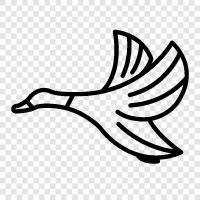 gooseberries, geese, barnyard, migration icon svg