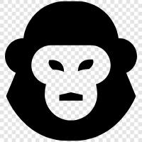 gorilla, silverback, apes, animal icon svg