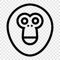 gorilla, apes, facial features, features icon svg