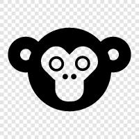 gorilla face, human face, ape face, monkey face icon svg