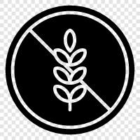 kornfrei, glutenfrei, paläo, vegan symbol