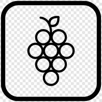 grapeseed oil, grapeseed oil benefits, grapeseed oil for skin, grapes icon svg