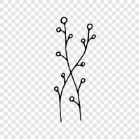 Grass, Weed, Flower, Bush icon svg