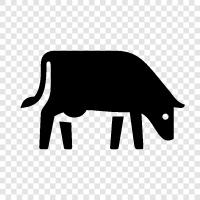 Grasslands, Cattle, Rangeland, Bison icon svg