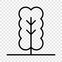 green, leaves, growth, deforestation icon svg