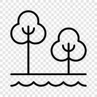 green, nature, trees, recreation icon svg