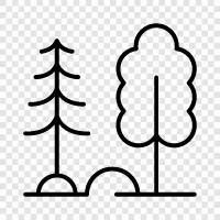 green, trees, nature, recreation icon svg