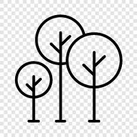 green, nature, walk, recreation icon svg