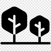 green, leaves, bark, branches icon svg