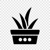 green leaves, leaves, plants, gardening icon svg