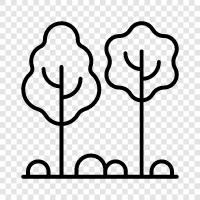 green, nature, forest, trees icon svg