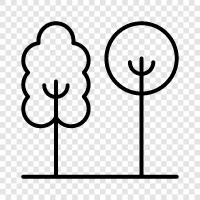 green, nature, trees, recreation icon svg