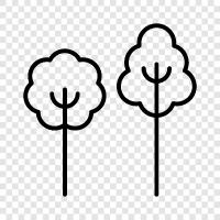 green, leaves, branches, bark icon svg