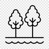 green, nature, trees, recreation icon svg