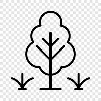 green, nature, forest, playground icon svg