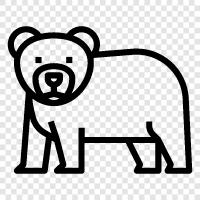 grizzly, brown, black, animal icon svg