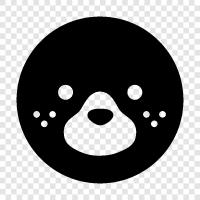 grizzly bear, Kodiak bear, black bear, polar bear icon svg