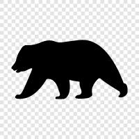 grizzly bear, Ursus arctos horribilis, black, Bear icon svg