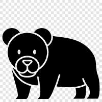 grizzly, black bear, brown bear, polar bear icon svg