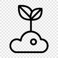 grow, seeds, plant, vegetables icon svg