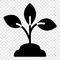 grow plants, grow plants indoors, grow plant icon svg