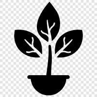 grow plants, vegetable garden, herb garden, hydroponic gardening icon svg
