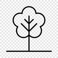 grow, leaves, bark, flowers icon svg