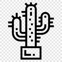 growing, plants, succulents, Cactus icon svg