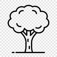growth, leaves, branches, bark icon svg
