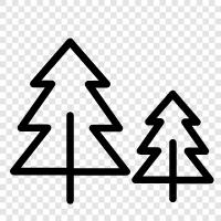Wachstum, Säubern, Pflanzen, Holz symbol