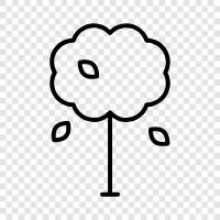 growth, leaves, bark, trunk icon svg