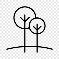 growth, leaves, bark, sap icon svg